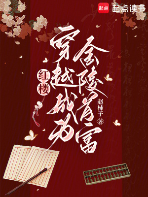 红楼：穿越成为金陵首富